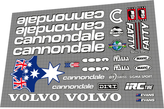 CANNONDALE Cadel Evans (1998) World Cup CAAD4 Frame Decal Set - Bike Decal Replace