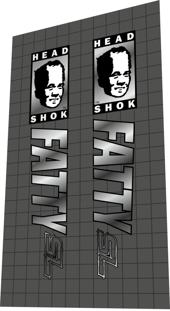 CANNONDALE HeadShok Fatty (1998) SL (2) Fork Decal Set - Bike Decal Replace