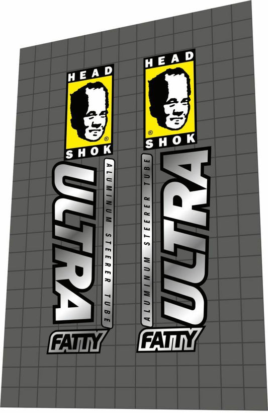 CANNONDALE HeadShok Fatty (2000) Ultra DL Fork Decal Set - Bike Decal Replace
