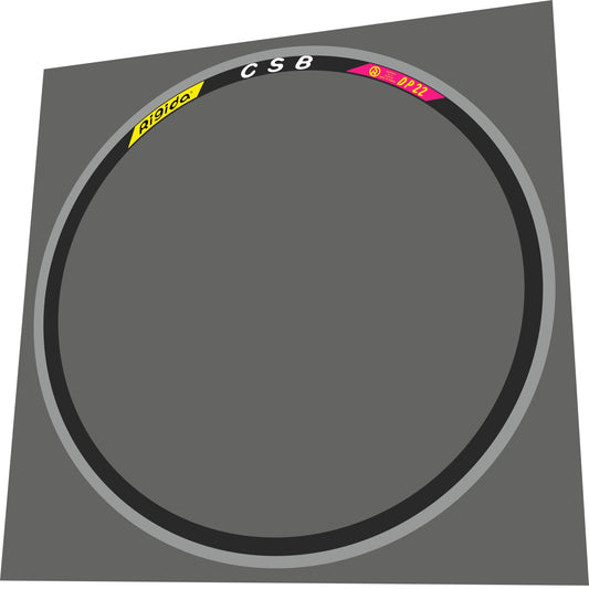RIGIDA DP 22 (1980s) Rim Decal Set - Bike Decal Replace
