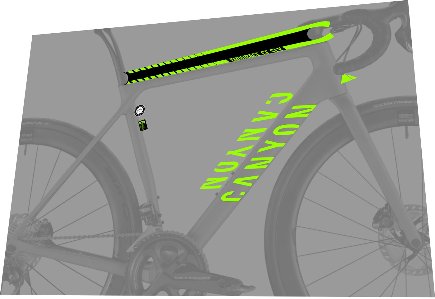 CANYON Endurace (2018) CF SLX Frame Decal Set - Bike Decal Replace
