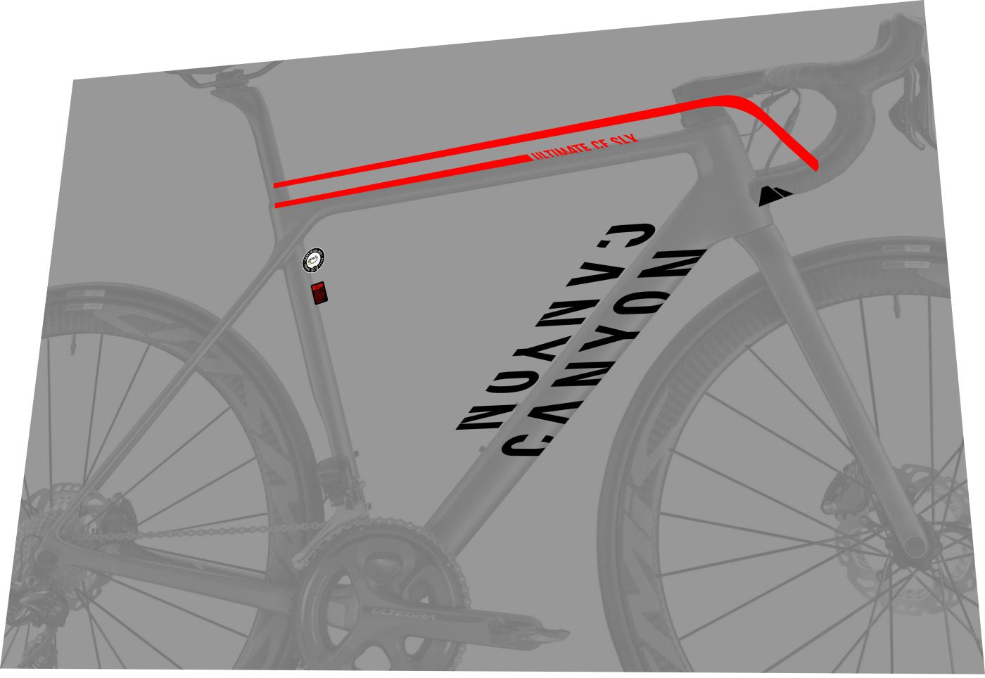 CANYON Ultimate (2019-2020) CF SLX 9.0 Frame Decal Set - Bike Decal Replace