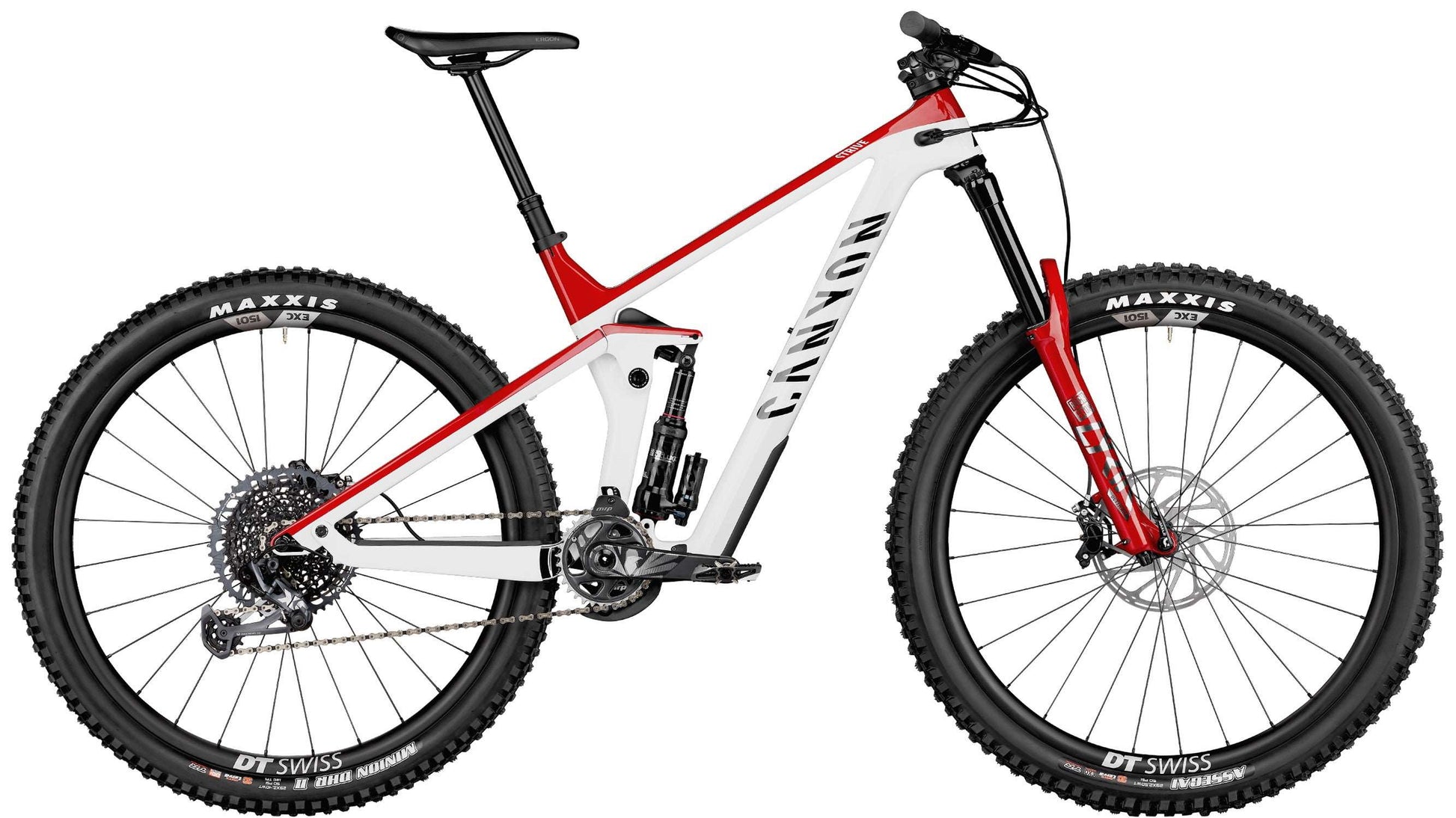 CANYON Strive (2019-2021) Frame Decal Set