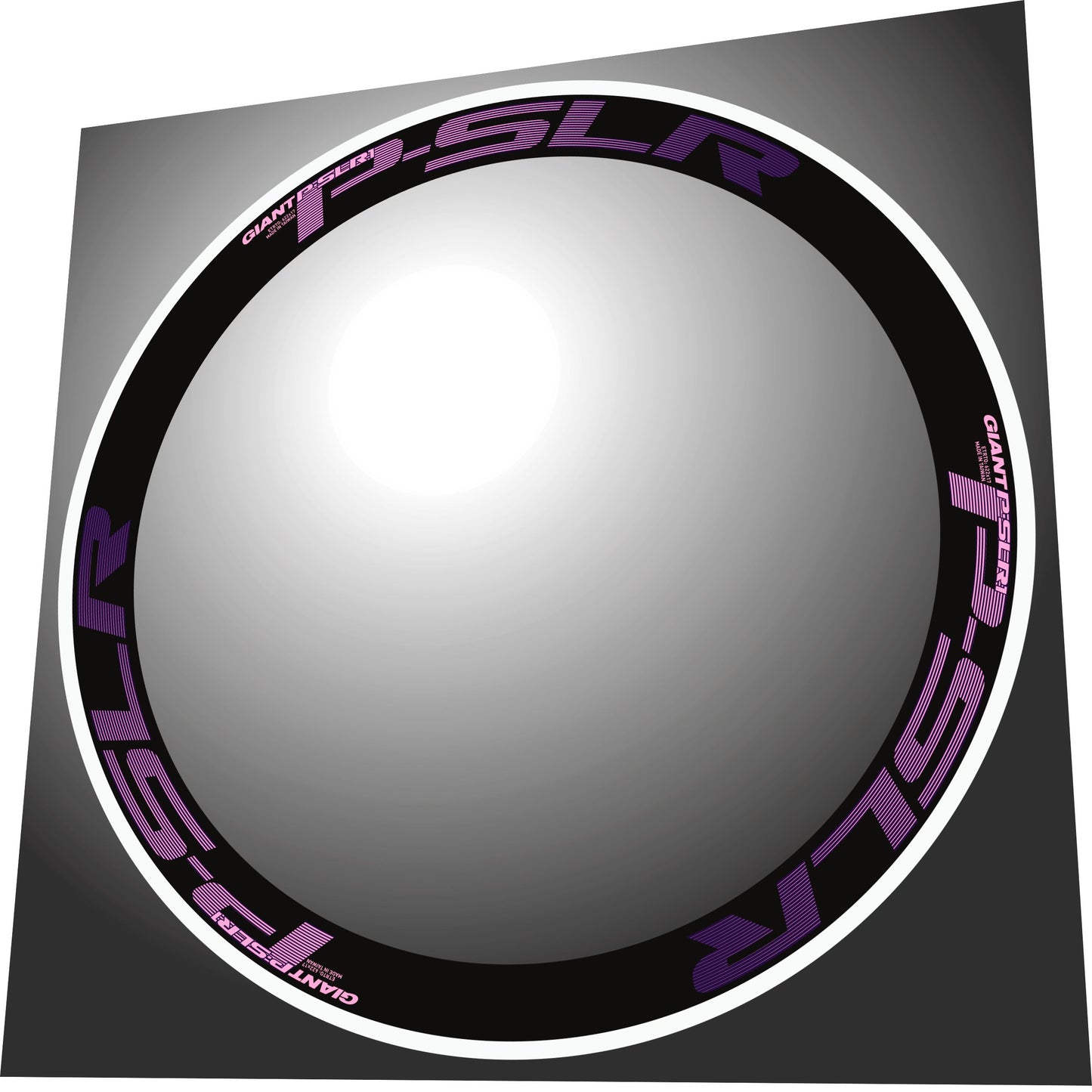 GIANT P SLR1 (2012) Rim Decal Set
