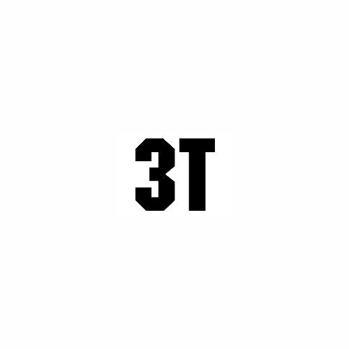 3T