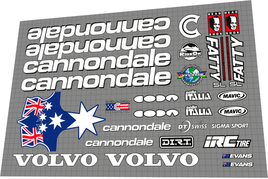 CANNONDALE Cadel Evans (1998) World Cup CAAD4 Frame Decal Set
