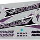 SPECIALIZED Fatboy (1999) Hemi Team 20' Frame Decal Set