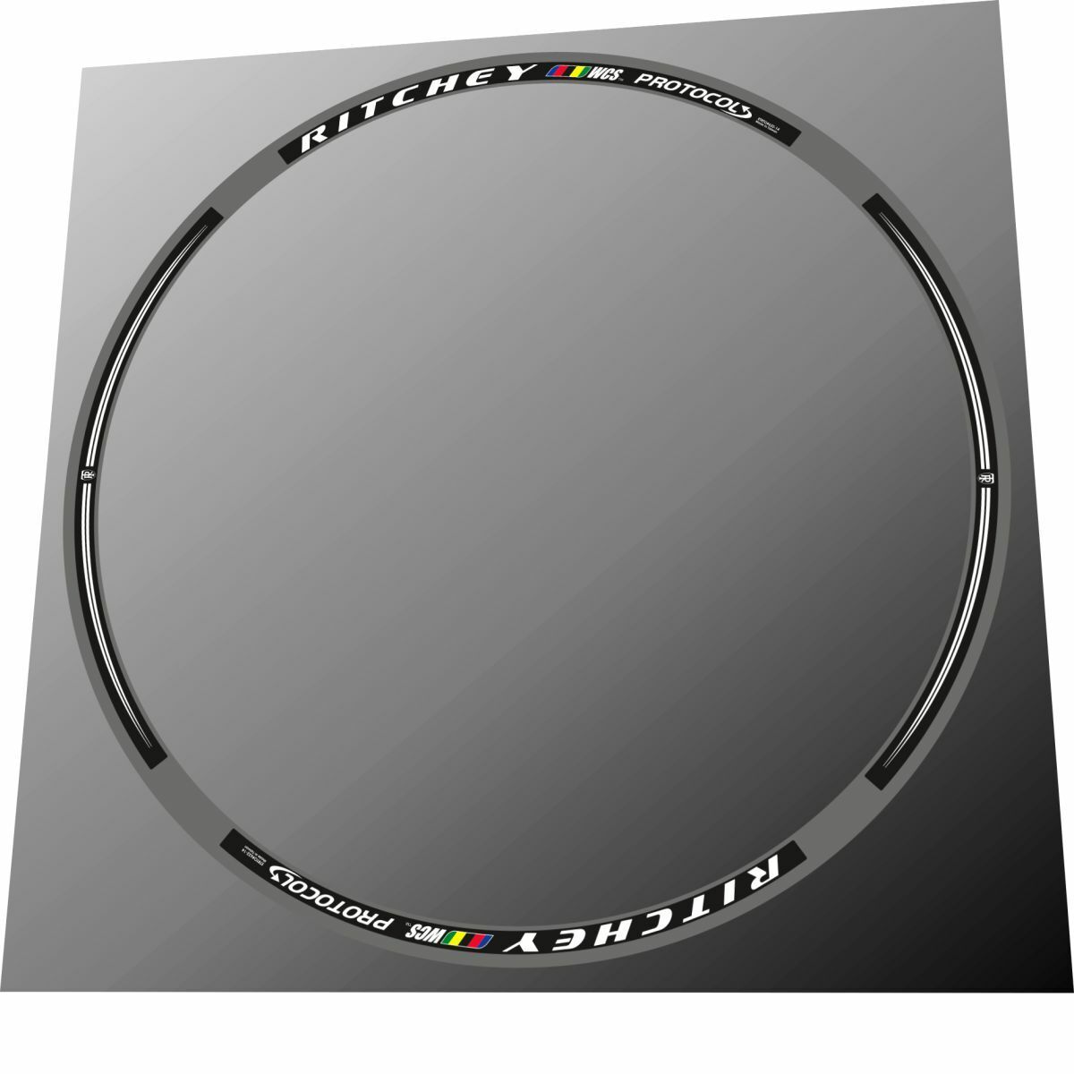 RITCHEY WCS (2009) Protocol Rim Decal Set - Bike Decal Replace