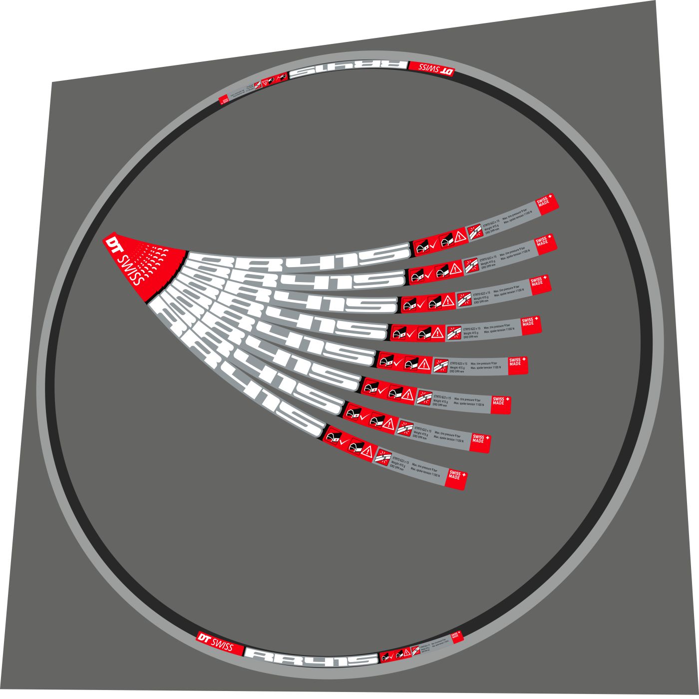 DT SWISS RR415 (2012) Rim Decal Set