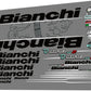 BIANCHI Oltre (2016) XR2 Frame Decal Set