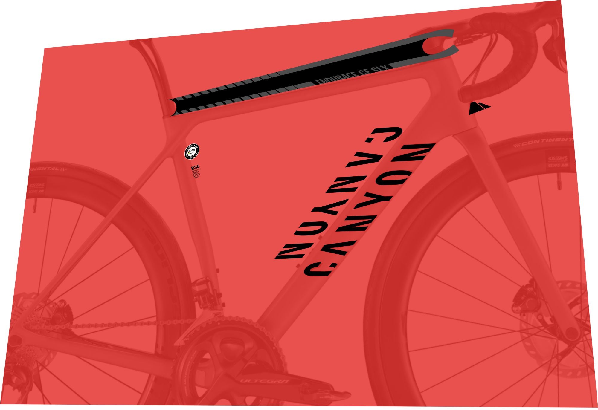 CANYON Endurace (2014) CF 8.0 Frame Decal Set